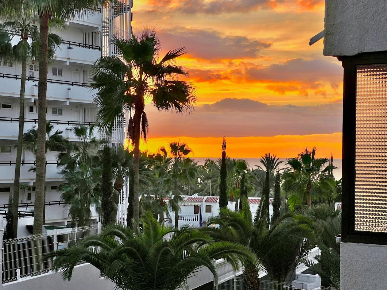 Olympia Palmalicious Apartment Playa de las Americas  Exteriér fotografie